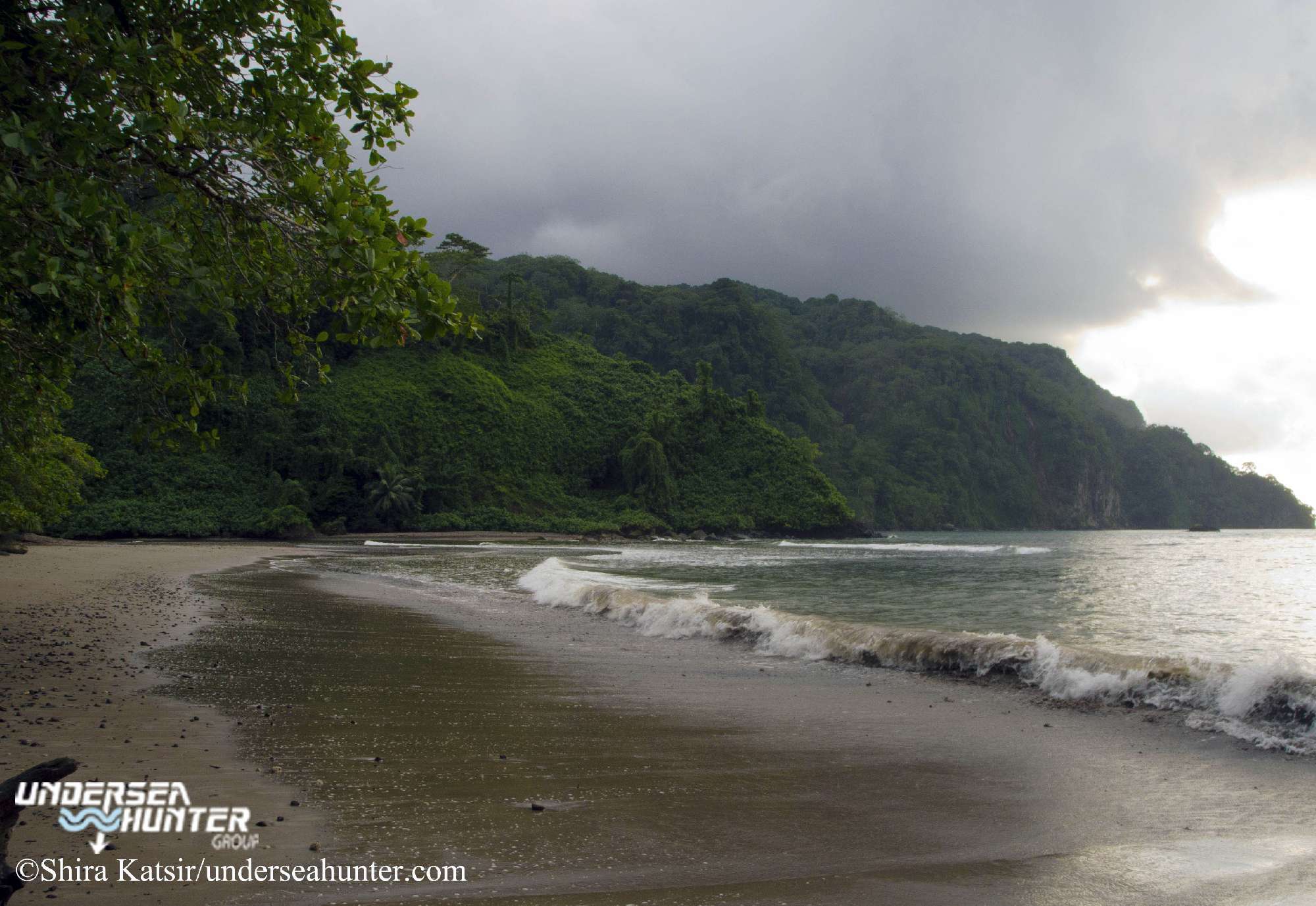 Banner Cocos Island