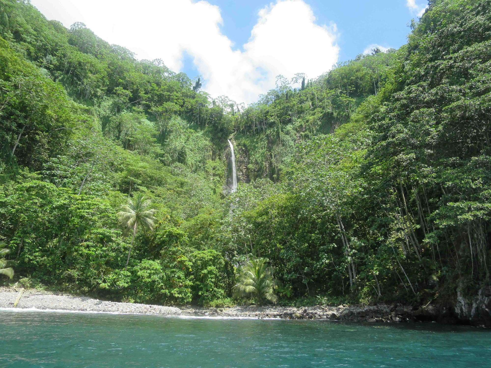 Banner Cocos Island