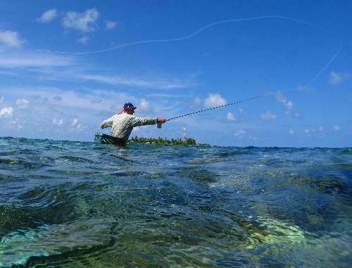 Crociera di pesca cr.-fishing.jpg