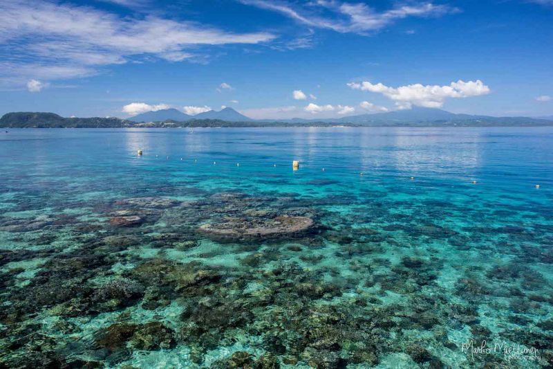 Bangka Island - CORAL EYE RESORT  coral-eye-reef.jpg
