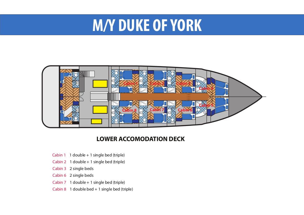 M/Y Duca di York duke-of-york-cabin-deck-2.jpg