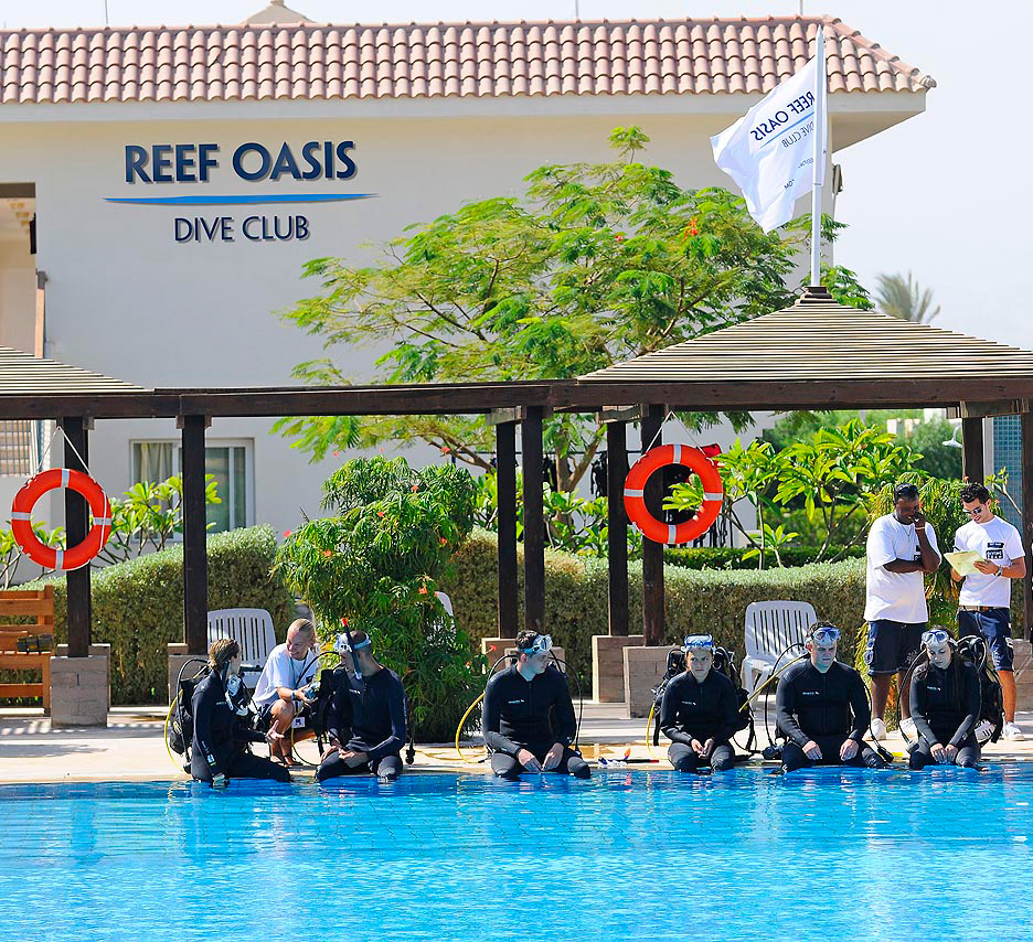 Sharm El Sheikh - Reef Oasis Dive Club  reef-oasis-dive-club-sharm27324474327o.jpg